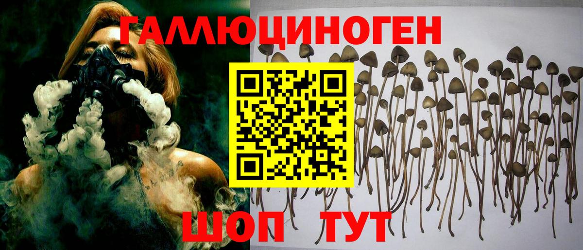 Ялуторовск  закладка  Вход с VPN  Псилоцибиновые грибы Cubensis 